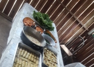 ALMOÇO ECOLÓGICO