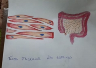 Anatomia e Fisiologia Humanas-LEF 0616